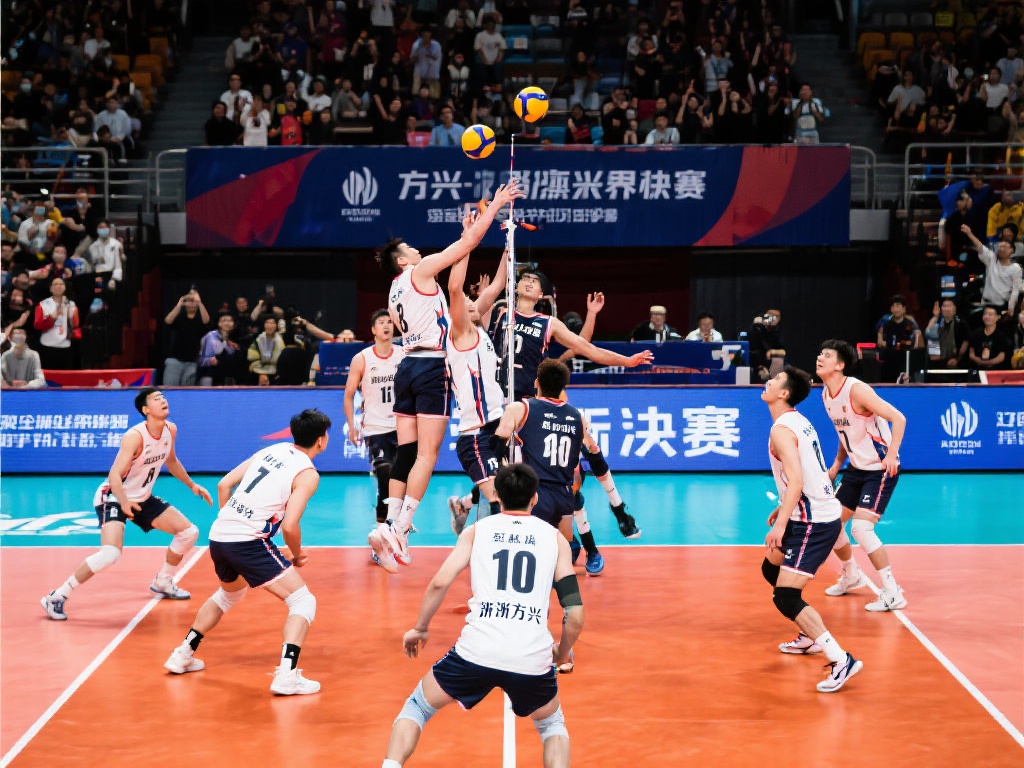 迷的期待 迷的期待